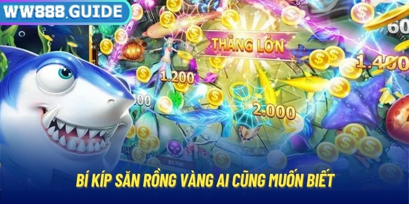 Bí kíp săn rồng vàng ai cũng muốn biết