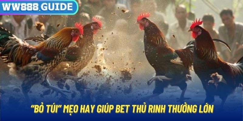 “Bỏ túi” mẹo hay giúp bet thủ rinh thưởng lớn