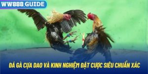 Đá Gà Cựa Dao Và Kinh Nghiệm Đặt Cược Siêu Chuẩn Xác