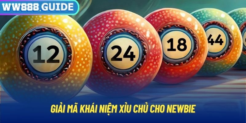 Giải mã khái niệm xỉu chủ cho newbie