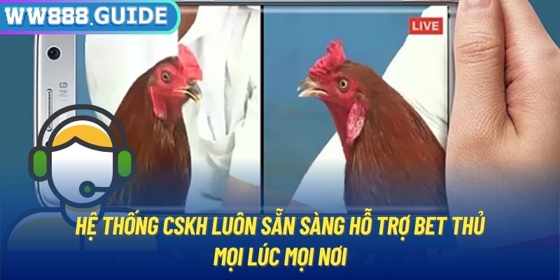 Hệ thống CSKH luôn sẵn sàng hỗ trợ bet thủ mọi lúc mọi nơi