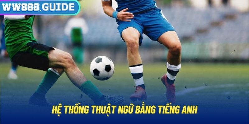 Hệ thống thuật ngữ bằng tiếng Anh