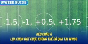 Kèo Châu Á | Lựa Chọn Đặt Cược Không Thể Bỏ Qua Tại WW88