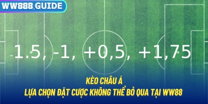 Kèo Châu Á | Lựa Chọn Đặt Cược Không Thể Bỏ Qua Tại WW88