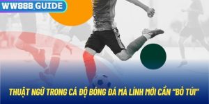 Thuật Ngữ Trong Cá Độ Bóng Đá Mà Lính Mới Cần “Bỏ Túi”