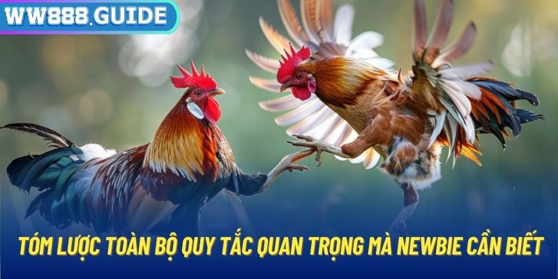 Tóm lược toàn bộ quy tắc quan trọng mà newbie cần biết